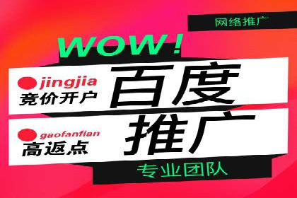 SEM广告案例：精准投放实现业绩增长